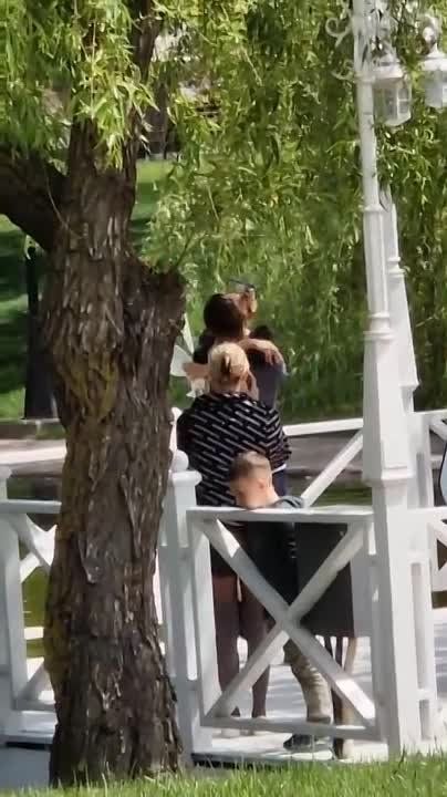 ����������� ����� � ������ �� ����� ����� ����� � ���������