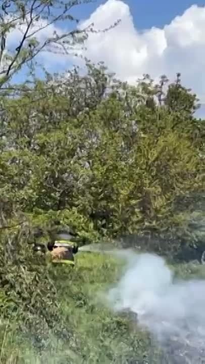 �������� �����, ������� �����