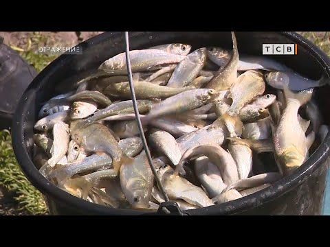 ��������������� � ���������� ������� �����������. ������� ��������, � ������ ���� ��� �� ����������, �����-�� ��������....