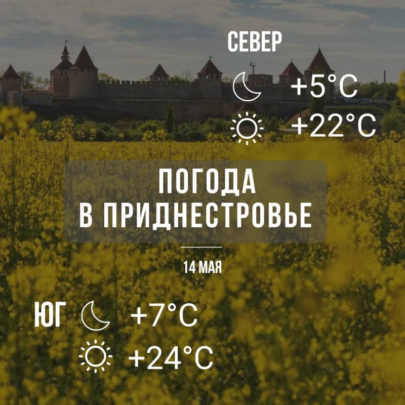 ������ ����� ������ ������ ���� 22-24 ������� �����