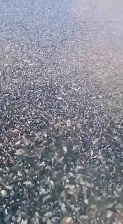 � ������� ���������� �������� ����� � ������������, ��� ��� ���������� � ���������������