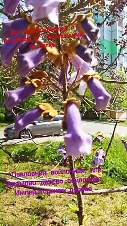 � ������ ����������� �� ����� ����� ������� ������