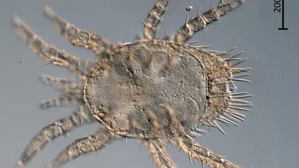 � ������ ���������� ����� ���� ������, ��������� ������� ���� � ��������� ��������� ����, �������� ������ ���������� ������������ ������������