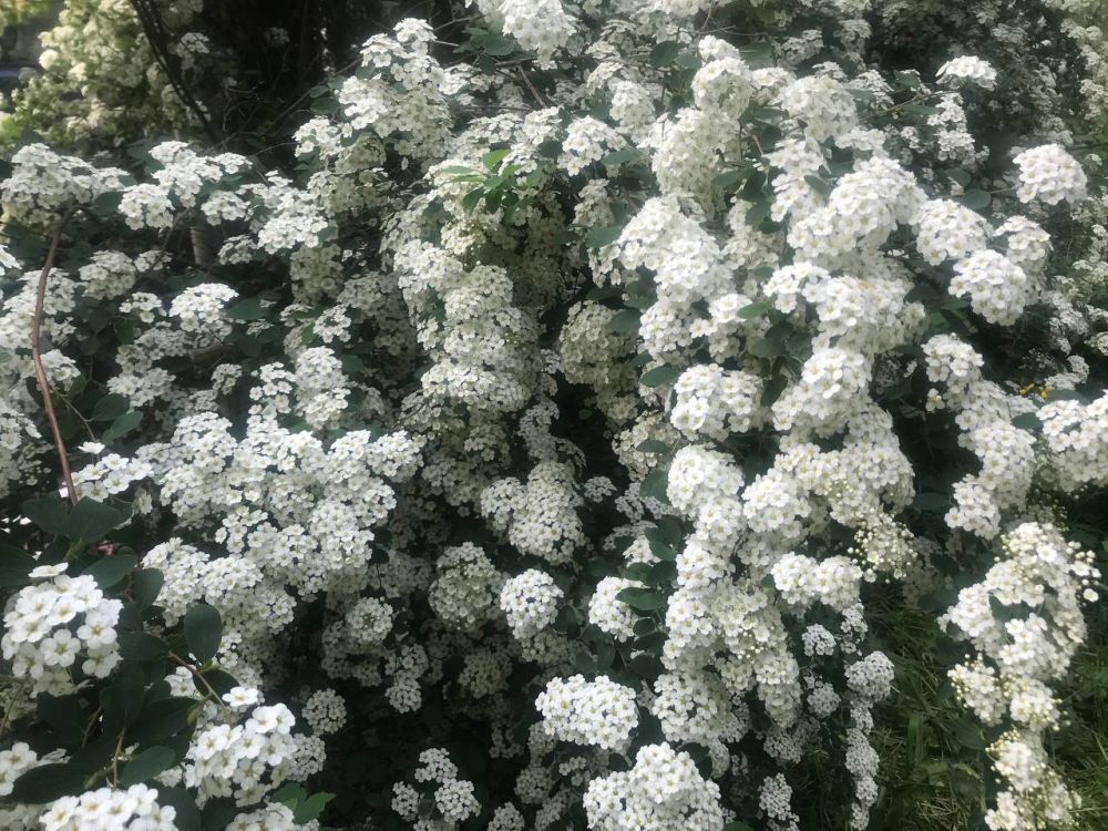 16 ��� ��������� ���������� ����������, ��� �������