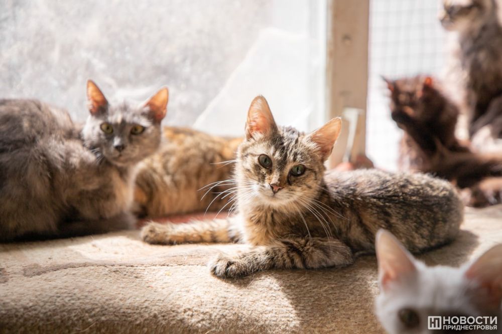 ��� ��� ���� ��������� ������ ������� ��������� �����, ������� ����� ������, � ��� ����� � �����������