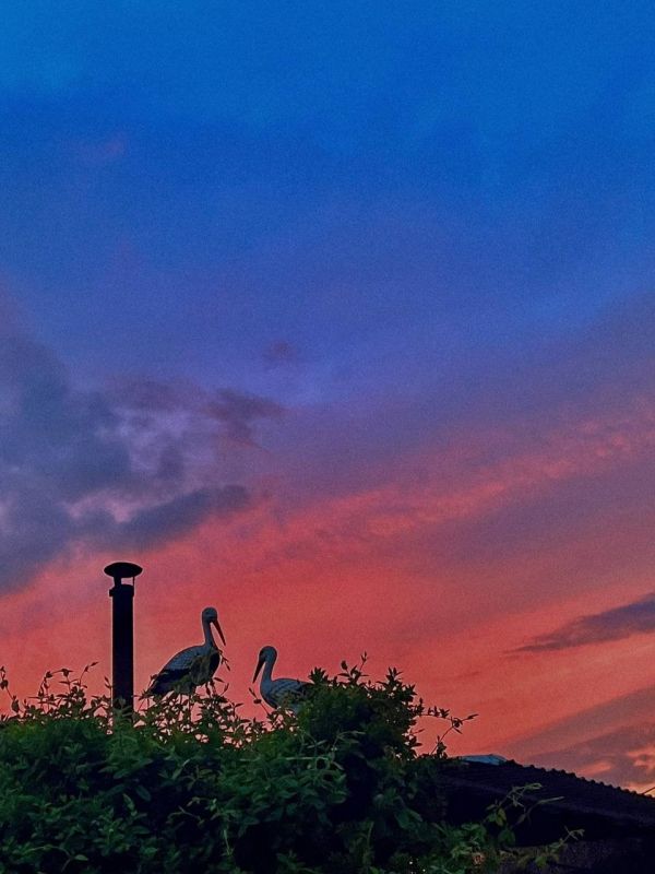 ����� � �������