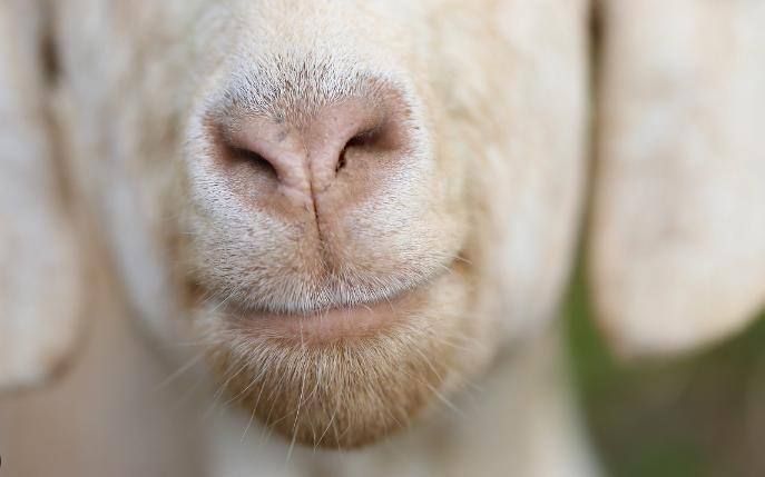 ������ ��� �������, ����������� �������� � �����