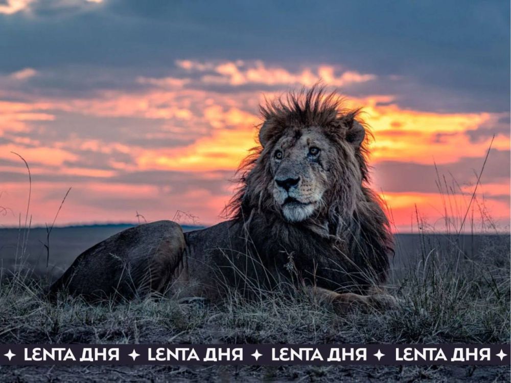 ������� ����� ���������� � ���� ���� (��� ���� 19 ���)