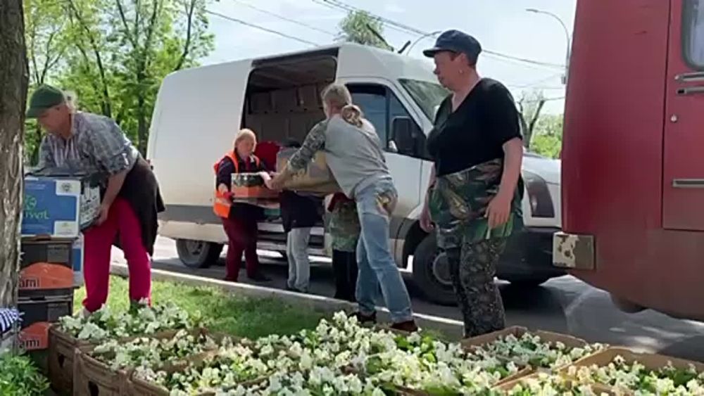 ��������� �������������� ��������� ������ ������ ������� �������������