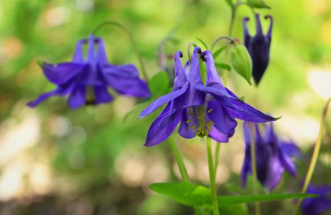 17 ��� ��������� ���������� ����������, ��� �������