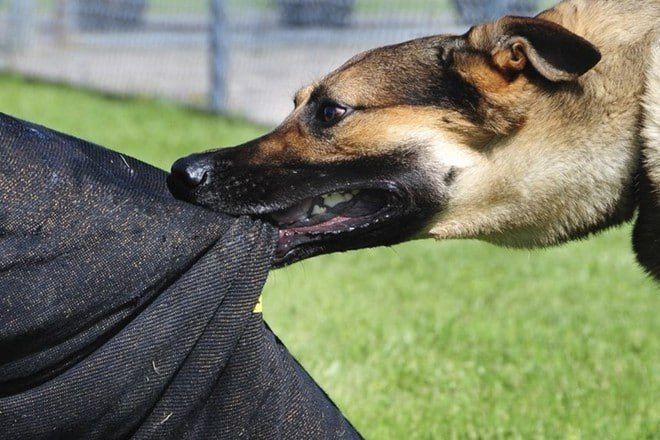 � ������ �� �������� � ��������� ���������� 145 �������