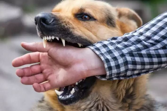 � ������ �� �������� � ��������� ���������� 145 �������, �� ��� 43 - ����, �������� ��������������� ����� ������� � �������������