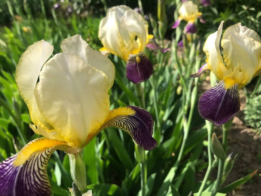 �������� � �������� �������