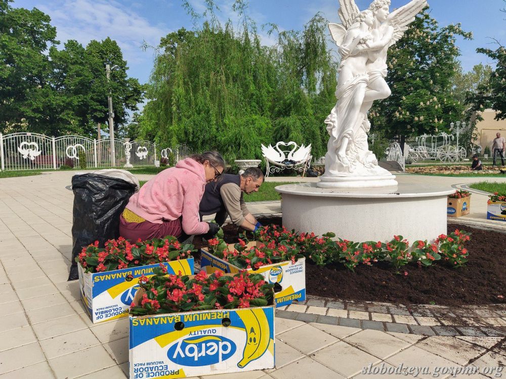 ������� �������� ������ � ���������