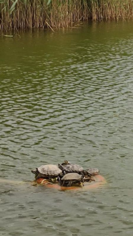 ��������� ������ �� ����� � �������������� ����� ����� �����������