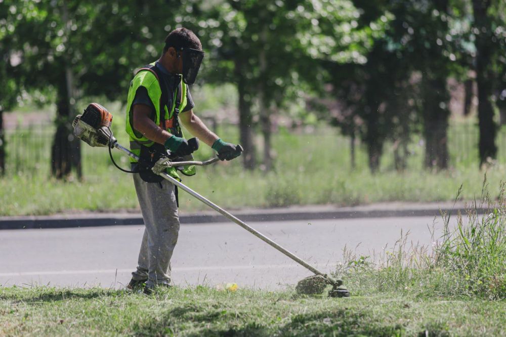 20 ���������� ����� - ����� 138 ����� ��. �