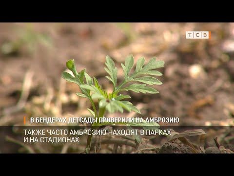 � ���������� �������� ����� �� ��������. ������� ���������� ������ ���������� ��������� ������� ���� � ��������