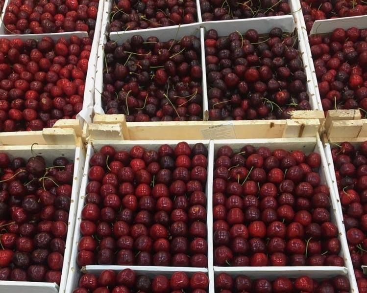 � ������� ������� ������ ��������� ������� �� 300 ���� �� ��. � ������� ����, ������� ��������, ��� ������ ��� ������