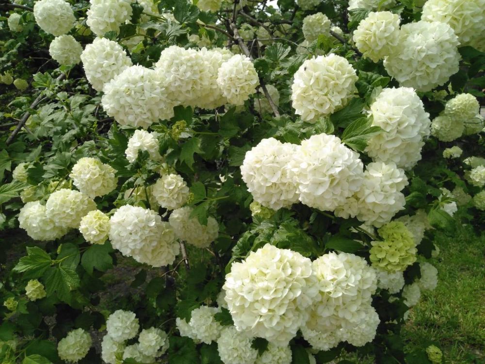 ������� ���� ����� � ������, �� �����