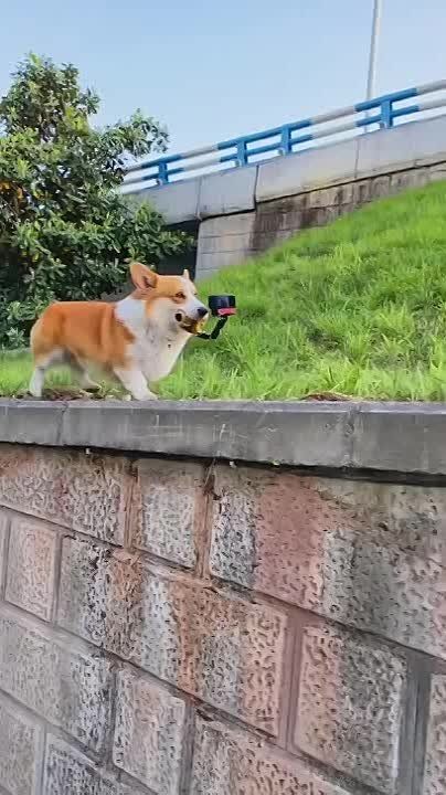 ������ ��� ����� ������ ������ � �������� �� �������� ��������