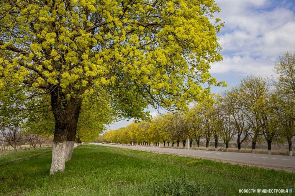 ������������� ���������� ���������� ����� �� ����������� �� �������� ����� �����