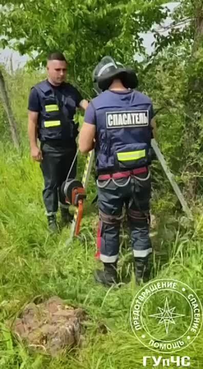 ������ �������. ���������� ����� ������ ������� ��������� ������������ �������� �� ������� ���� �������. �� ����������...