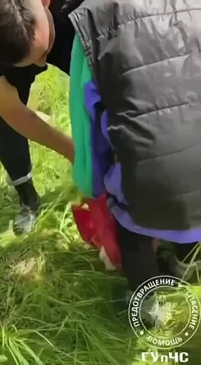 ������ �������. ���������� ��������� ������� ��������� ������������ ��������. �� ������������ ������� �� ������� ���� ������� �������� �������