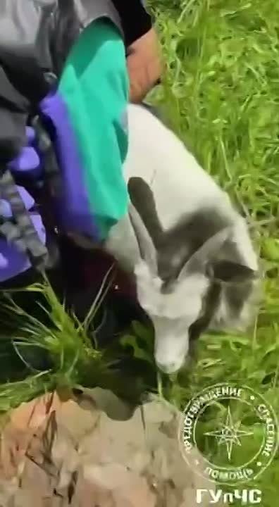 � �������� ������� ���������� � �������� (� ���� �� ���� � ��������) �������