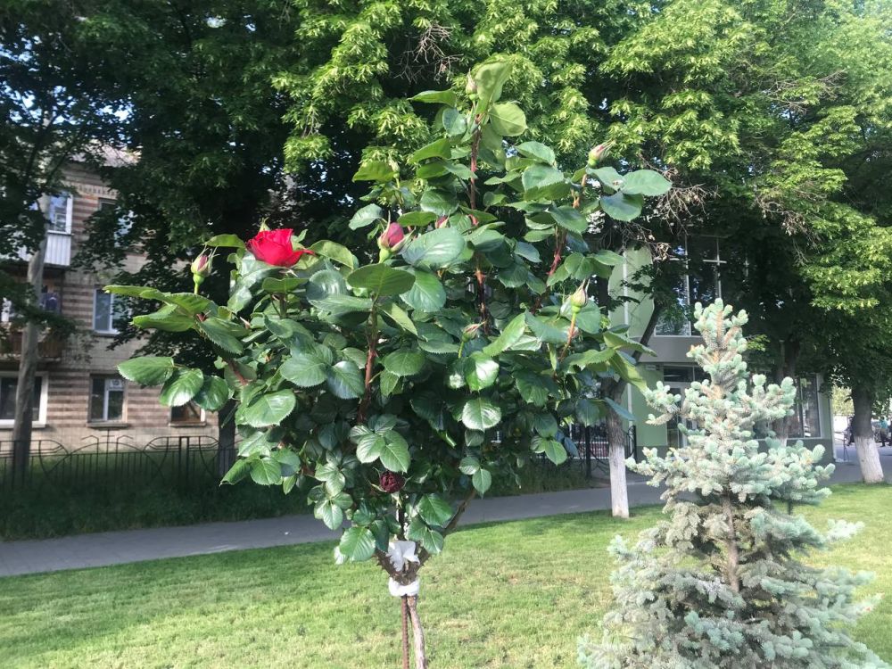 18 ��� ��������� ���������� ����������, ��� �������