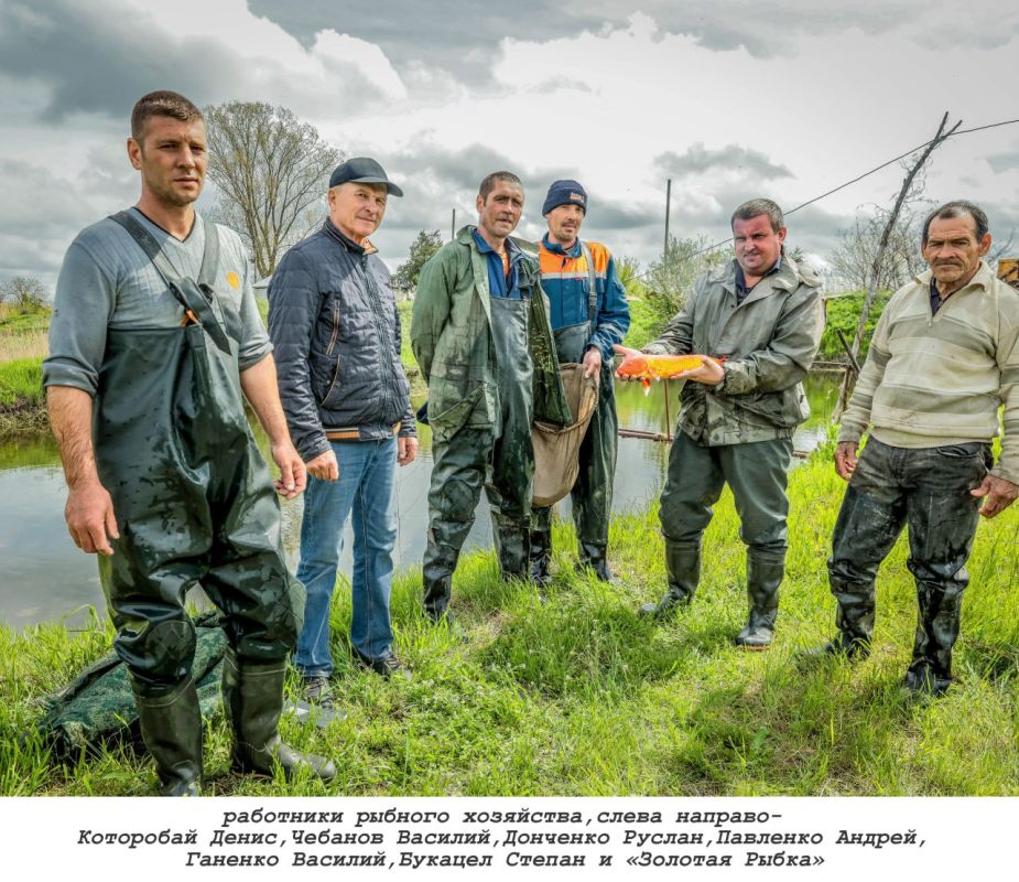 ����������������� ������ ������� ������������� ��������