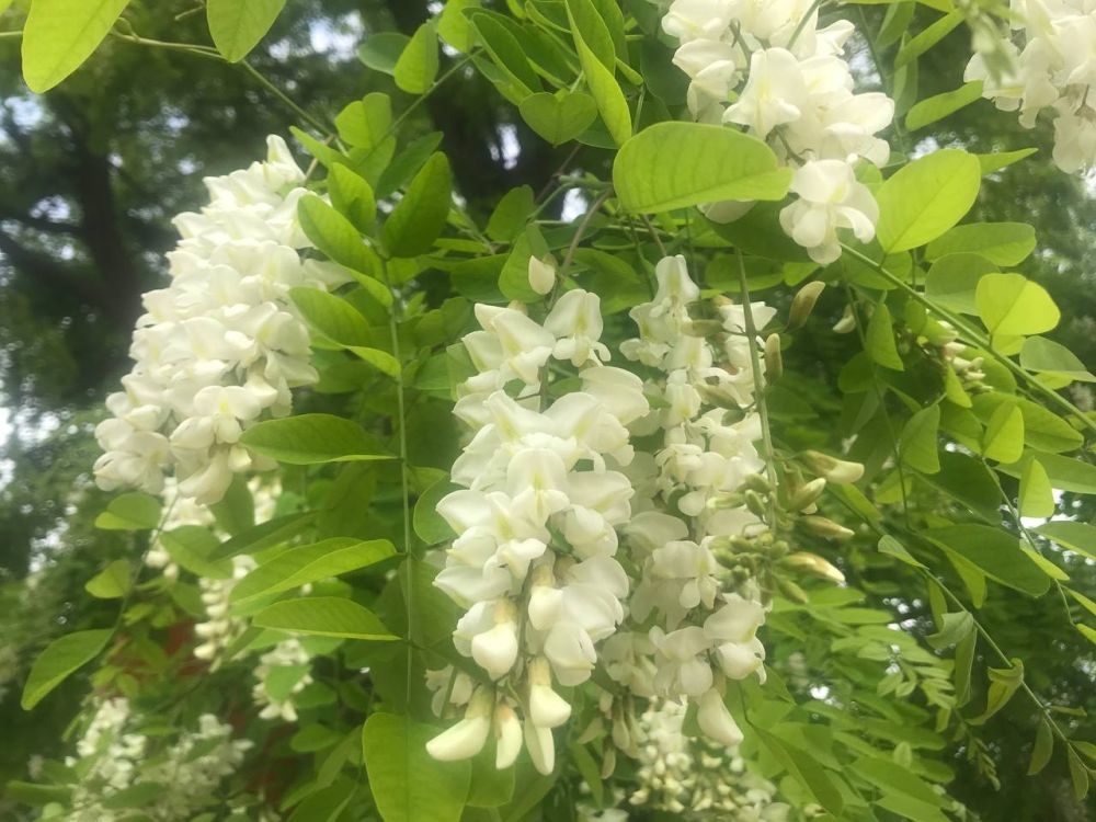 � �������� ������� �����..