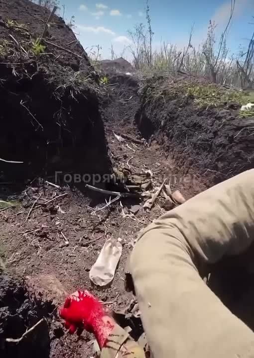 ����� �������� ������������� ������� � �������� ������ �� ����� ������ ����������� �������