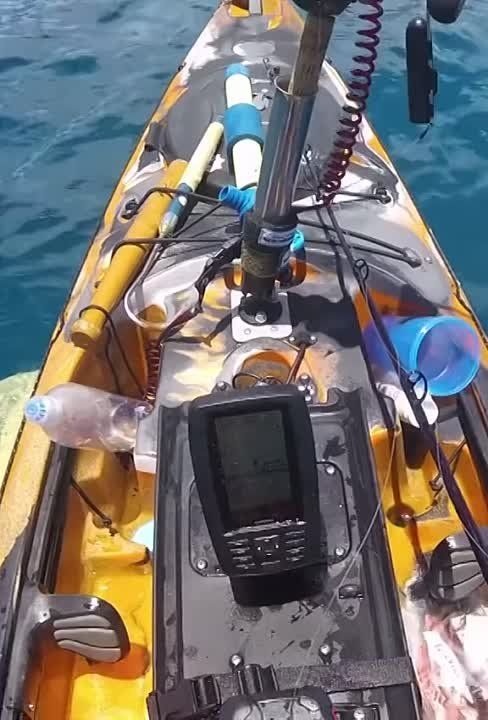 ����� �� ������� ������������ ���� ������ ������ ��������