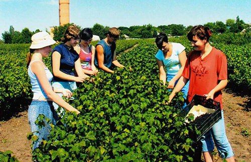 �� "��������������� ������-����������������� �������� ��������� ���������" ������������ ���������� � ������ ������ �������