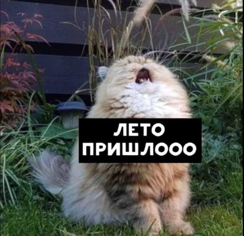 �� ��������� ������ ����� +30. � �������������� ����������, ��� �� ����������� � ��� ��� ����