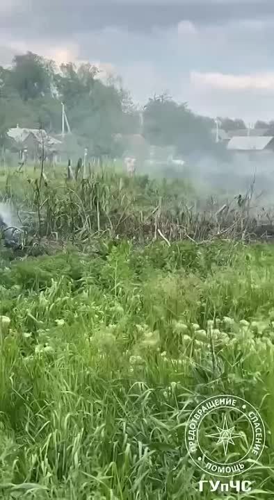 �� ����� ������� 5 �������� ������