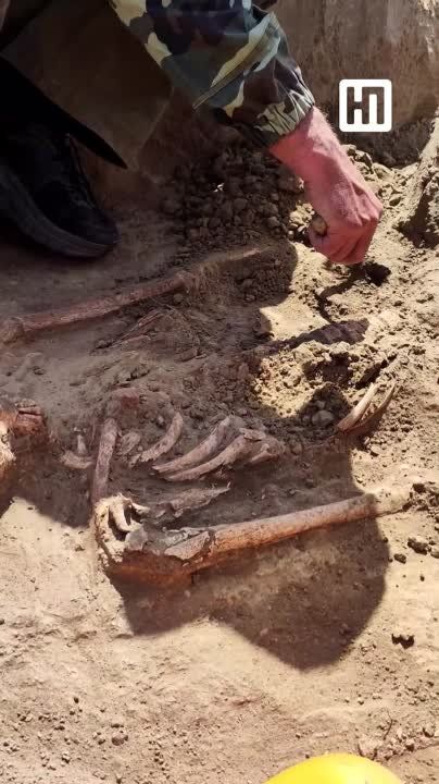 ��������� ��������� ������� ������� ������������� ����� ��������