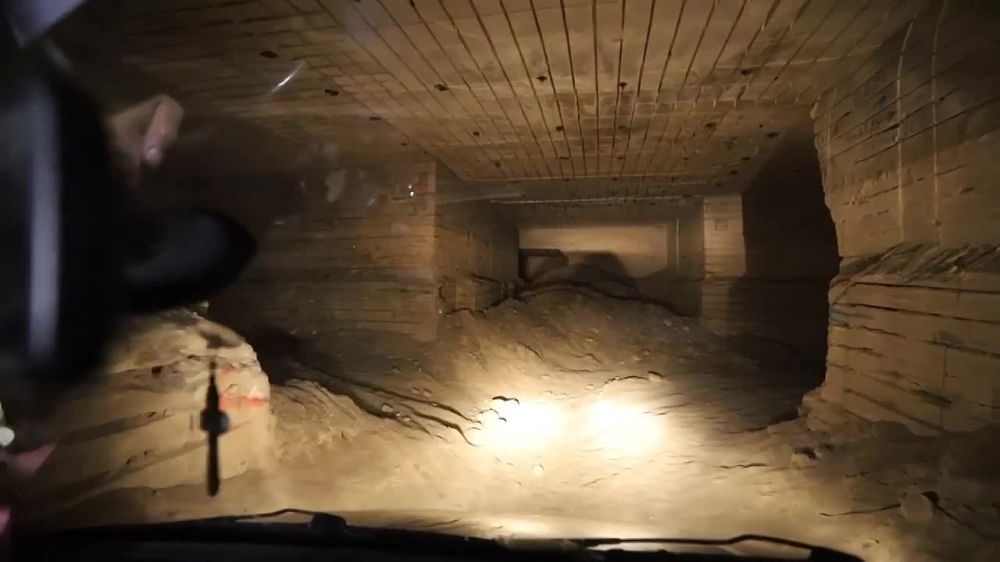 ���� ����� ������ ������ ��������