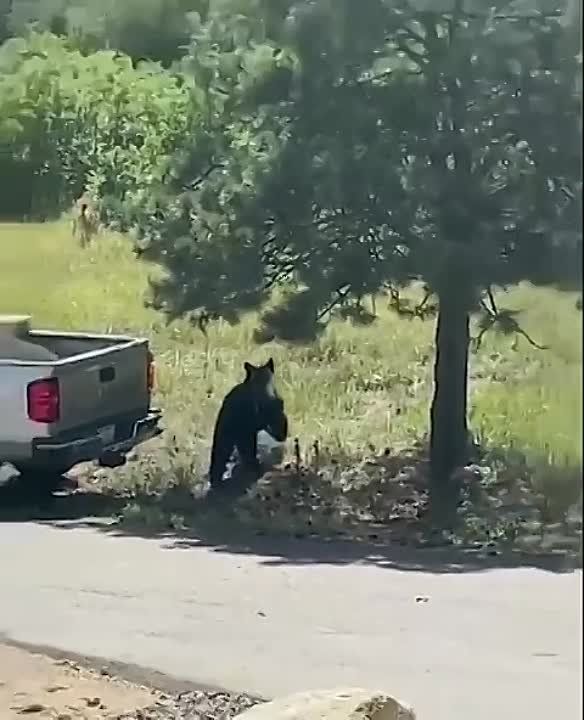 �������� ����������. �������� ������������� � ������ ������� � ������. ����� ����� � ����