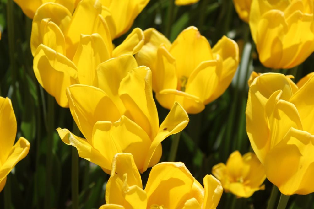 ������ �� 19 ���. ������� ��������� ���������� ����������, �� ������ �������� ��� ������� ��������������� �����, �������� �����