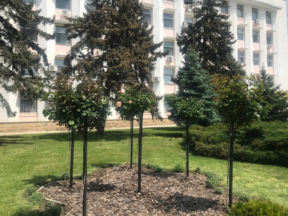 �� ���� ������ ��������� �� � �������� ������! ��-������� ������ ����� ��������