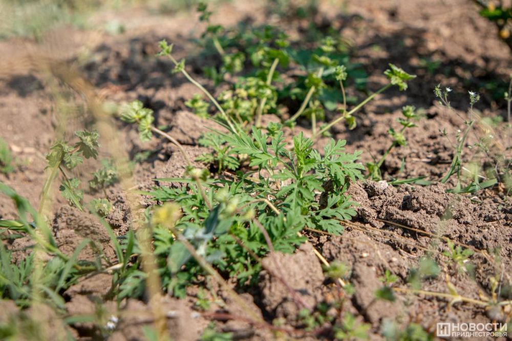 �������� �������� ��������� �������� �� ������� ��������