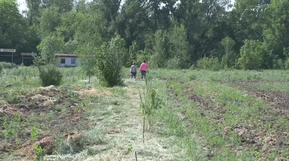 ������ ���������� �� ���� �� ��������