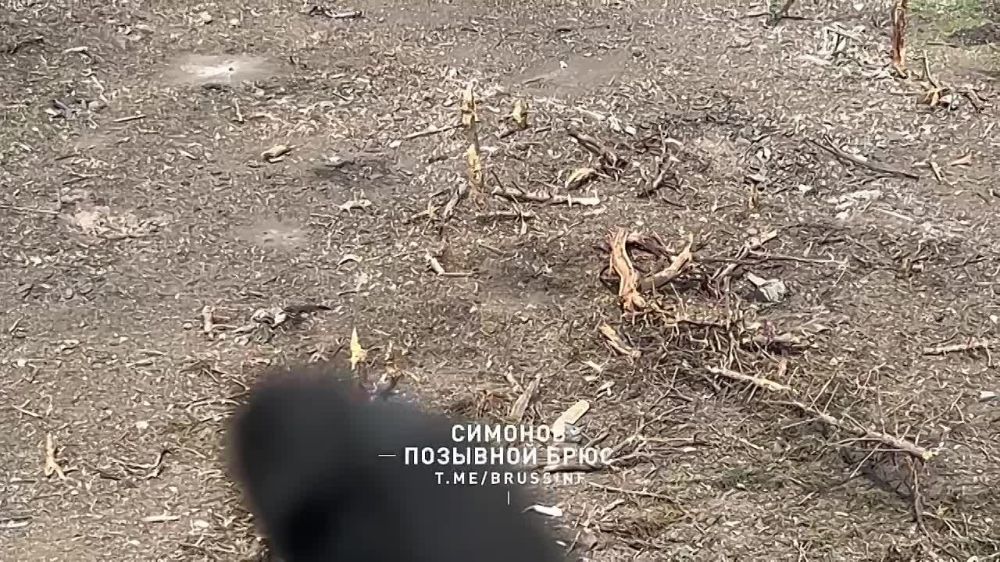 ��� � ������� ���� �� ���������� ��� � ������ ������� - ��������� ����� ���������� � ������