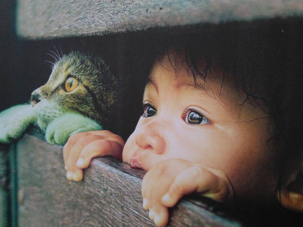 ������ ���� � ���� �����, �� � ����, ���� � ������!