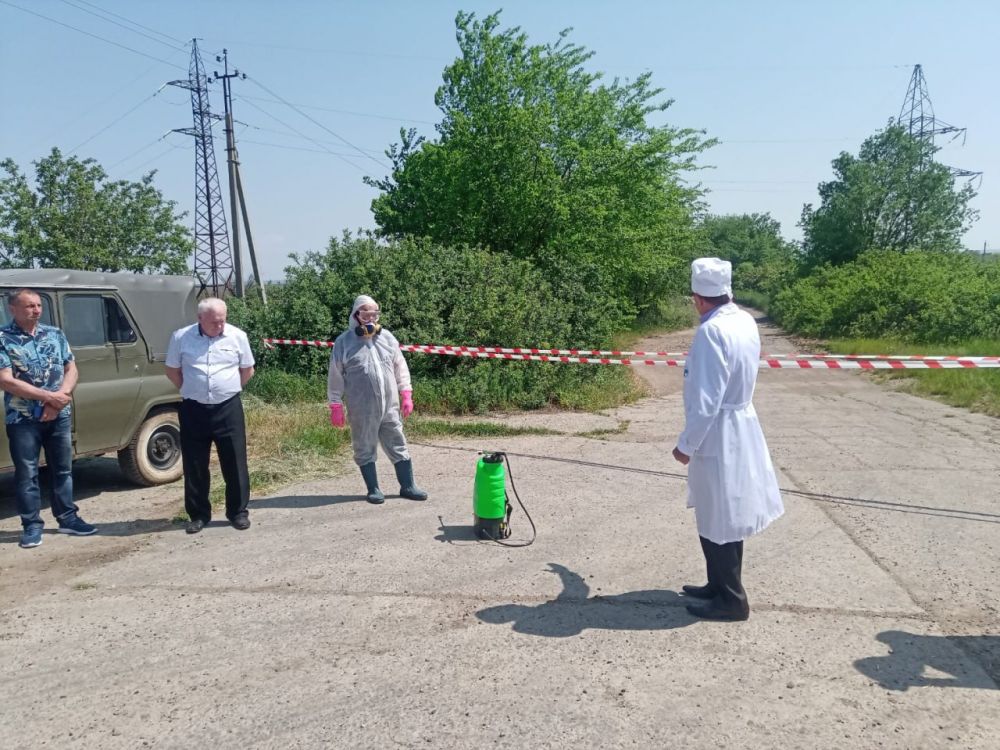 ������������: ������- ������������� ������� �� ���������� ����������� ����������� ���� ������