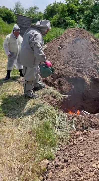 � ���������� ������� ������� ������ ������