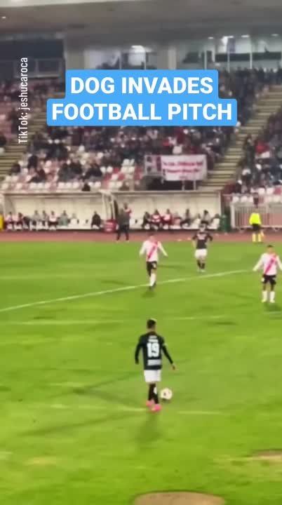 ���������� ������ ������ �������� �������� �������� ���� �������� ������� �� ����