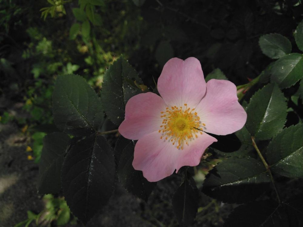 ���������� ����� �������� ���. ��� ������ �� ��������� ������