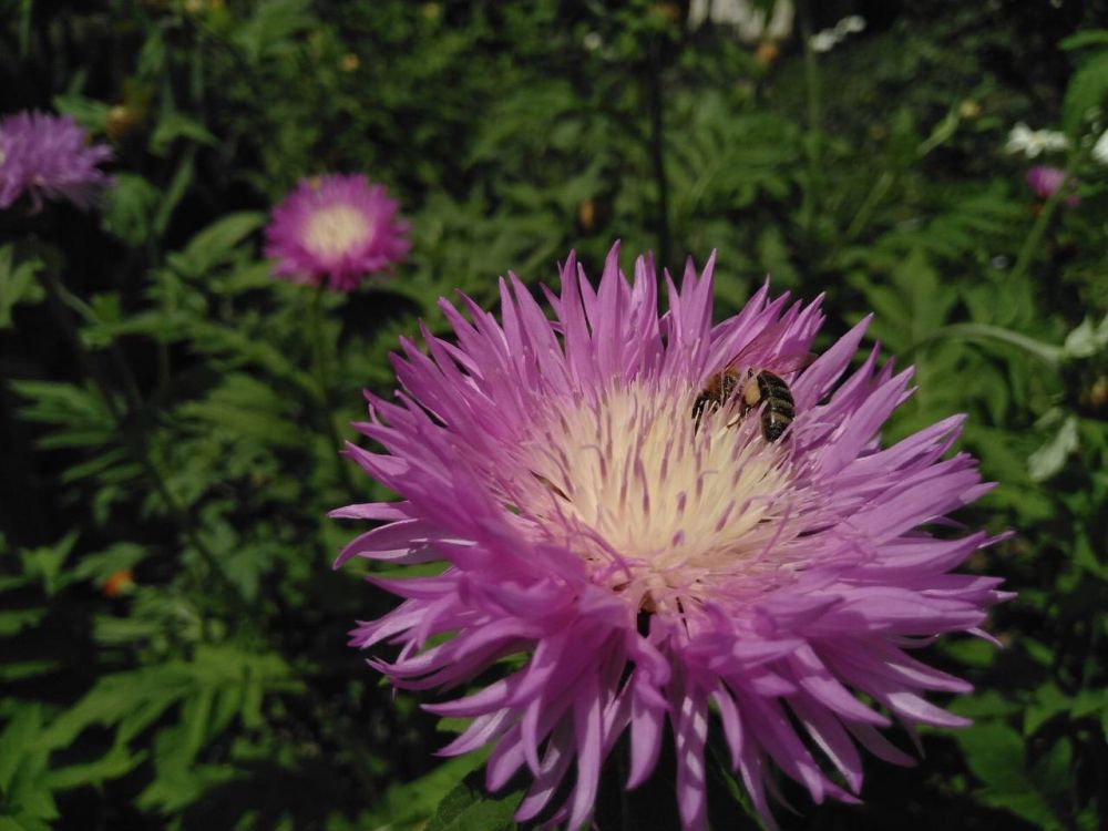 �� ���� ��������������� ������, ������������� � ������� �������� �����